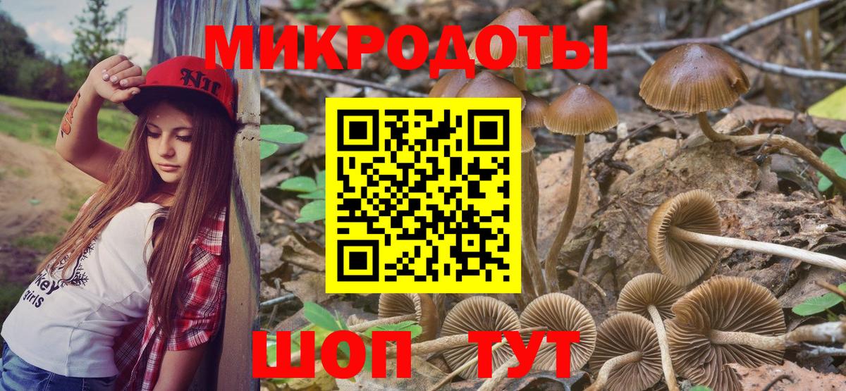 Галлюциногенные грибы Cubensis Белая Калитва